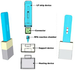 graphic file with name biosensors-14-00554-i012.jpg