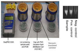 graphic file with name biosensors-14-00554-i016.jpg