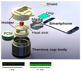 graphic file with name biosensors-14-00554-i001.jpg