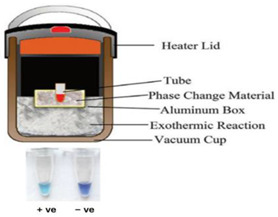 graphic file with name biosensors-14-00554-i013.jpg