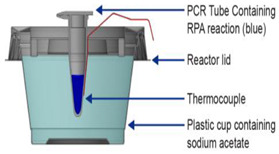 graphic file with name biosensors-14-00554-i007.jpg