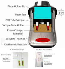 graphic file with name biosensors-14-00554-i005.jpg