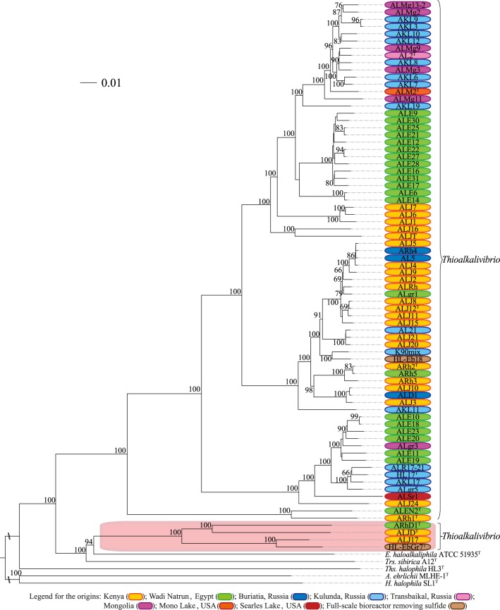 Fig 4