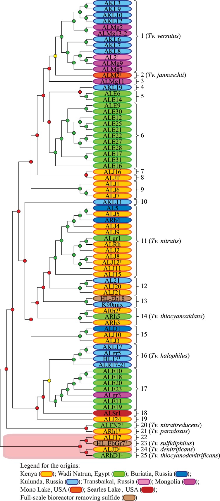 Fig 2