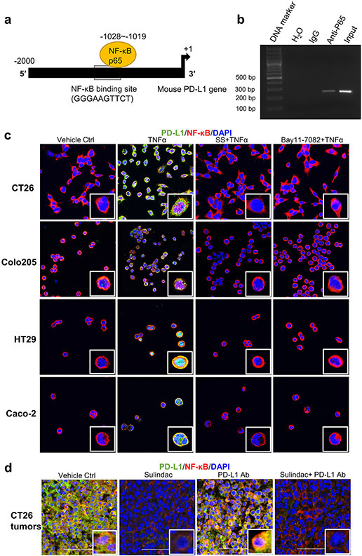 Figure 3: