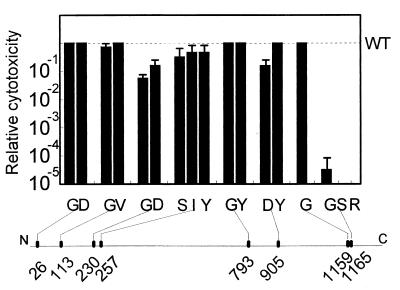 FIG. 1