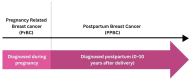 The image is a timeline illustrating the differentiation between Pregnancy-Related Breast Cancer (PrBC) and Postpartum Breast Cancer (PPBC). PrBC section highlights that it is diagnosed during pregnancy, while PPBC section shows it is diagnosed postpartum, within 0-10 years after delivery. The categories clearly outline the temporal context each type of cancer is identified, emphasizing the importance of understanding the timing of diagnosis in categorizing these breast cancers. The distinction is crucial for healthcare providers to ensure accurate diagnosis and appropriate treatment plans.