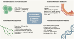 alarming connections between biological pathways and tumor microenvironment in postpartum breast cancer