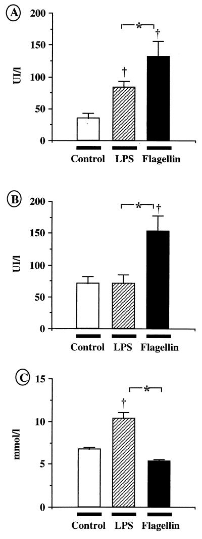 FIG. 6.