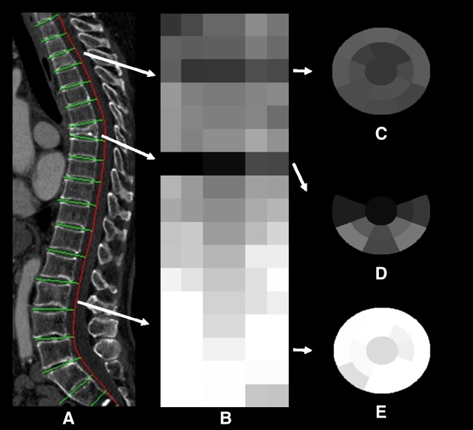 Figure 2: