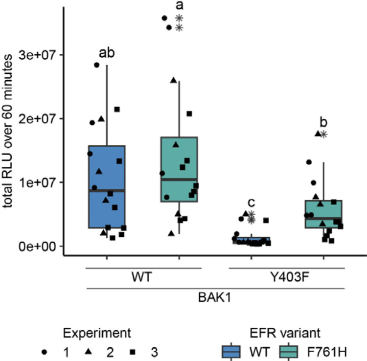 Figure 4: