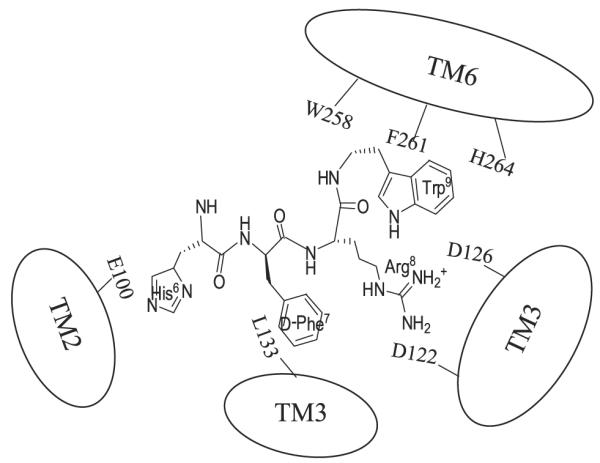 FIGURE 9