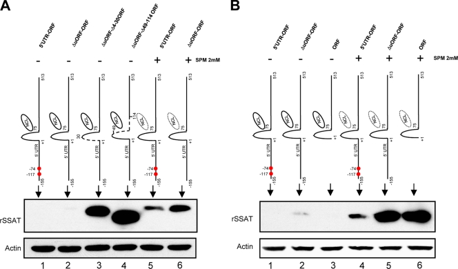 Fig 10