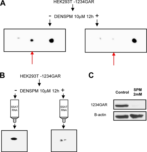 Fig 5