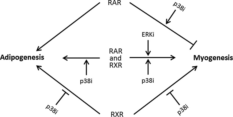 FIG. 8.