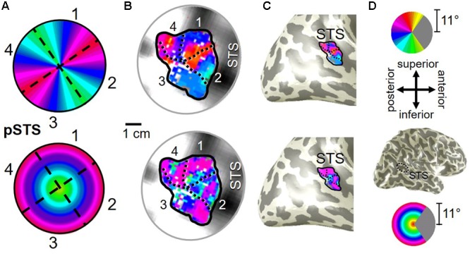 FIGURE 10