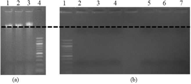 Figure 18