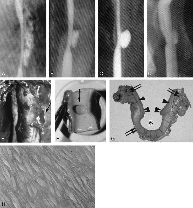 Fig 3.