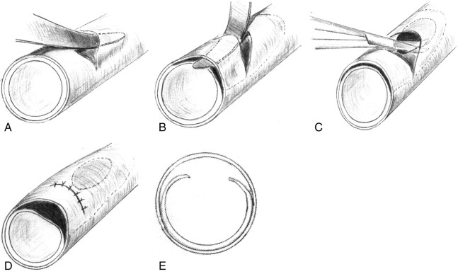 Fig 1.