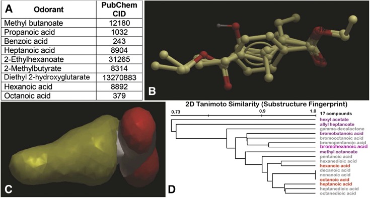 Fig. 3.