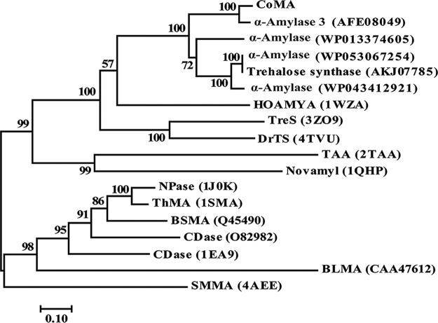 FIG 1