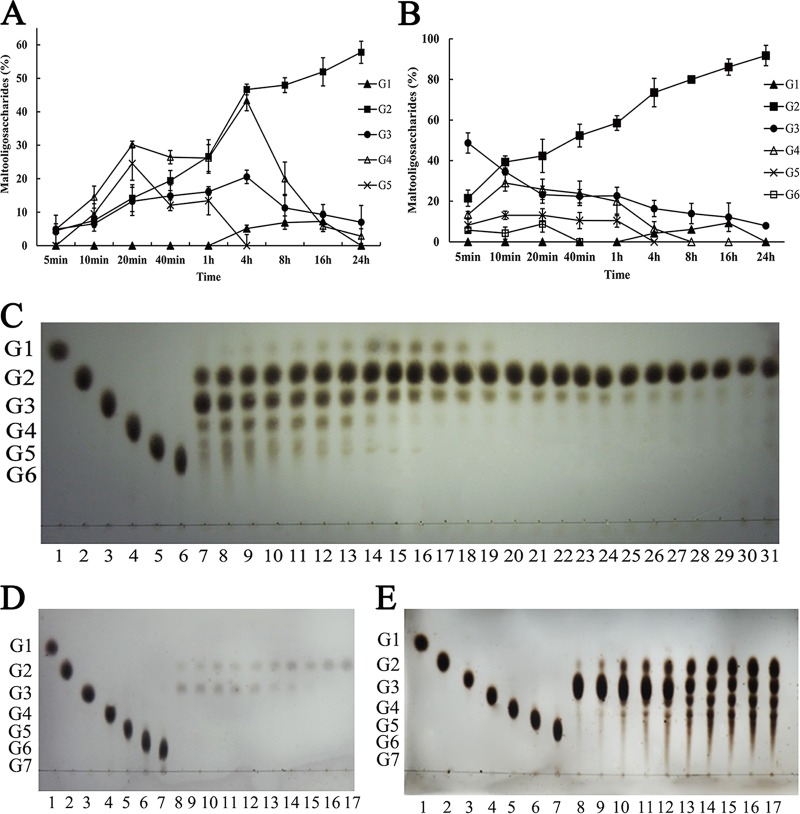 FIG 6