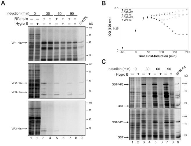 FIG. 7.