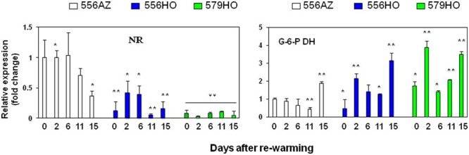 FIGURE 6