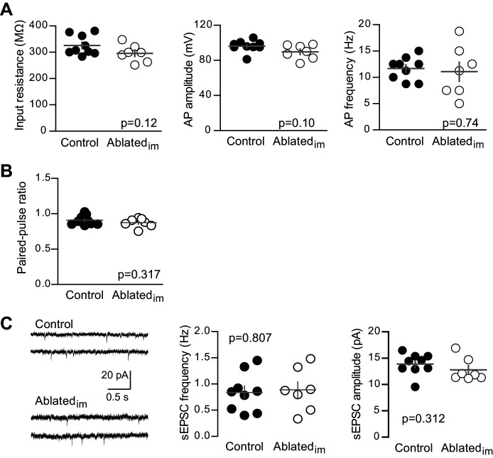 Figure 4—figure supplement 2.