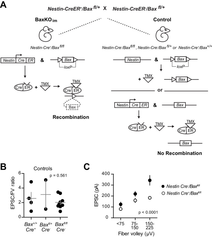 Figure 1—figure supplement 1.