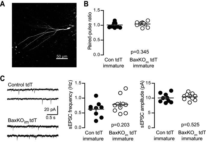 Figure 5—figure supplement 2.