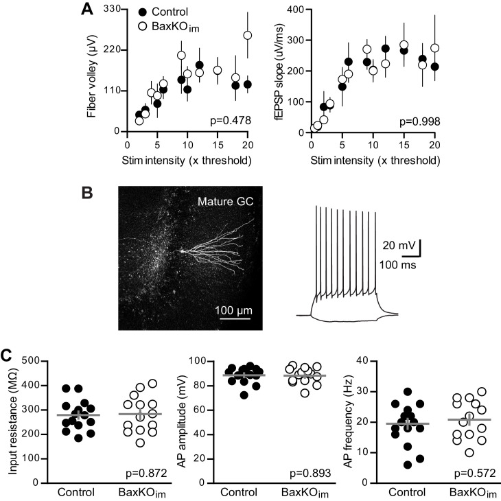 Figure 1—figure supplement 2.