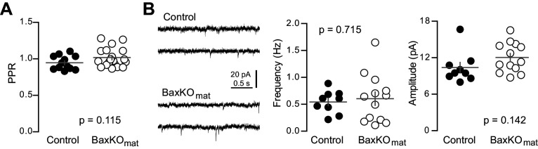 Figure 7—figure supplement 2.