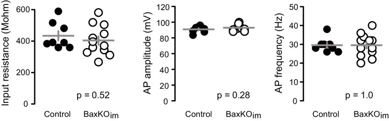 Figure 3—figure supplement 1.