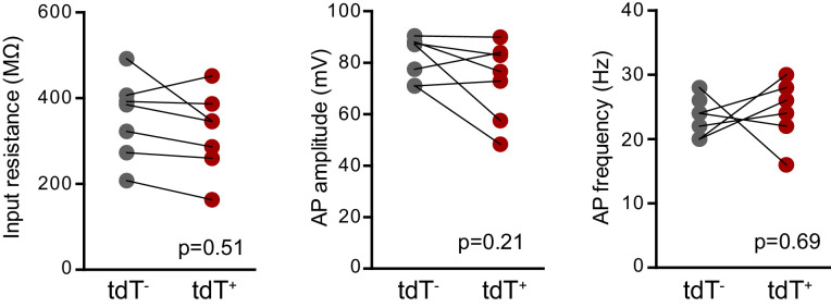 Figure 5—figure supplement 3.