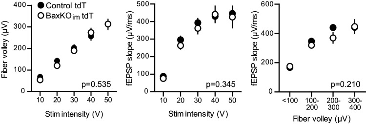 Figure 5—figure supplement 1.