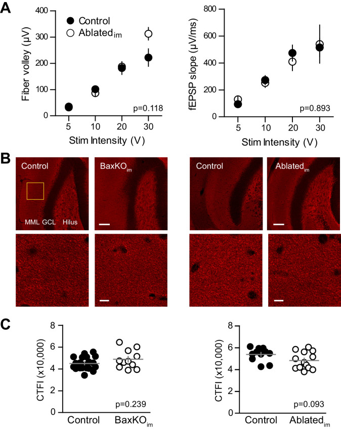 Figure 4—figure supplement 1.