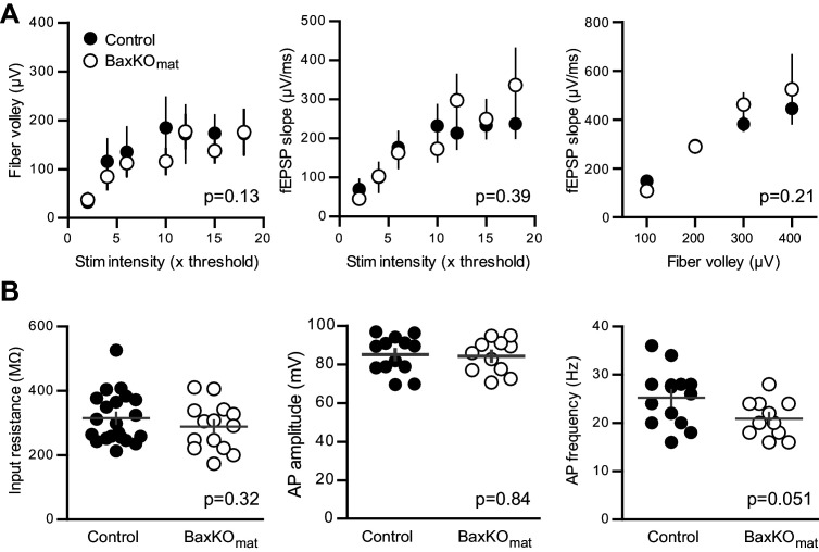 Figure 7—figure supplement 1.