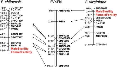 Figure 2.—