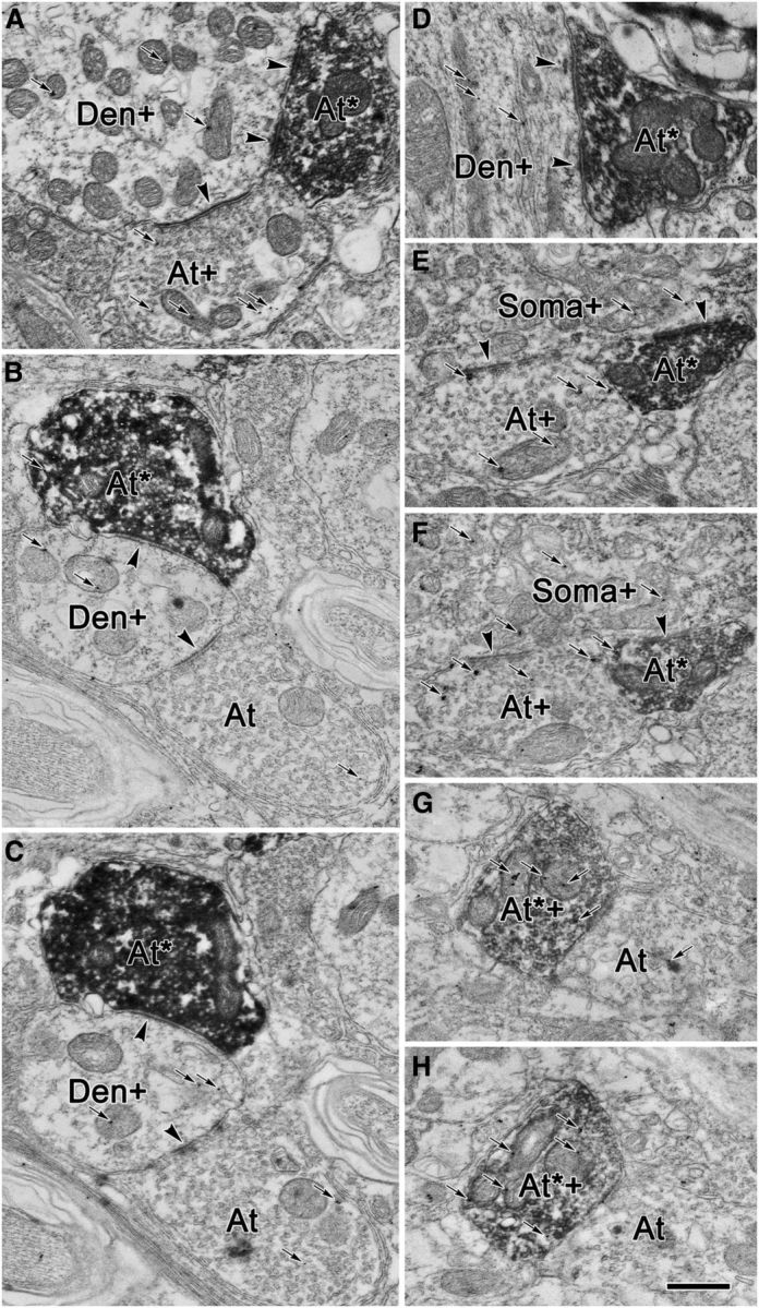 Figure 10.