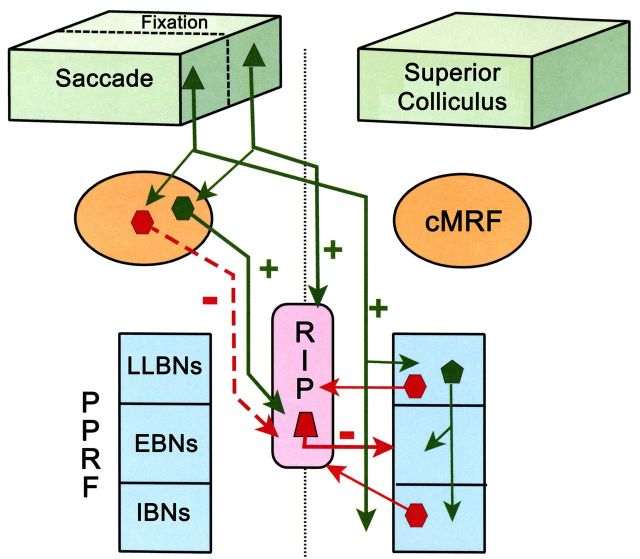 Figure 11.