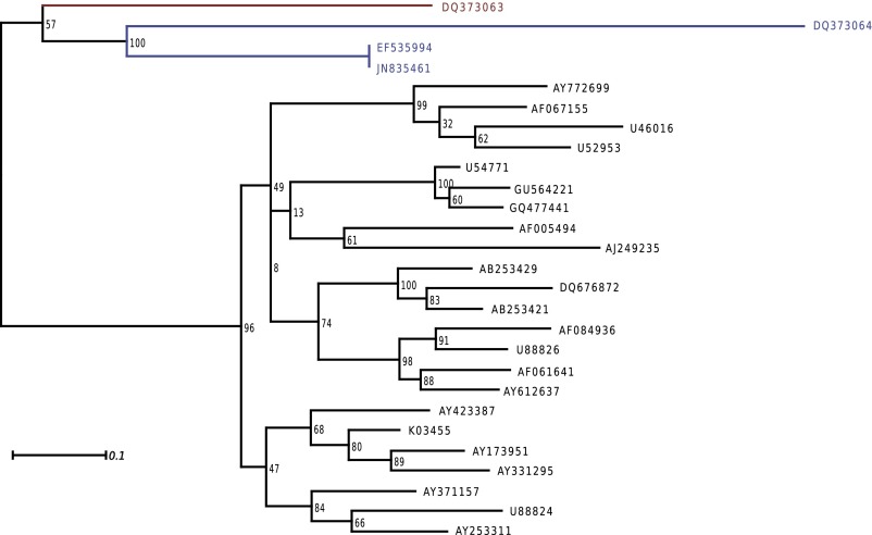 Fig. S1.