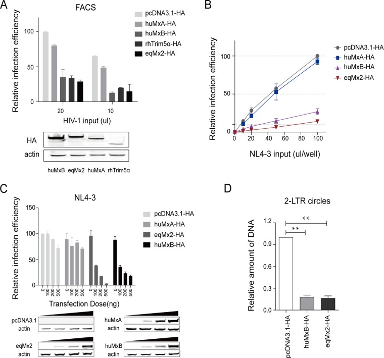 FIG 3