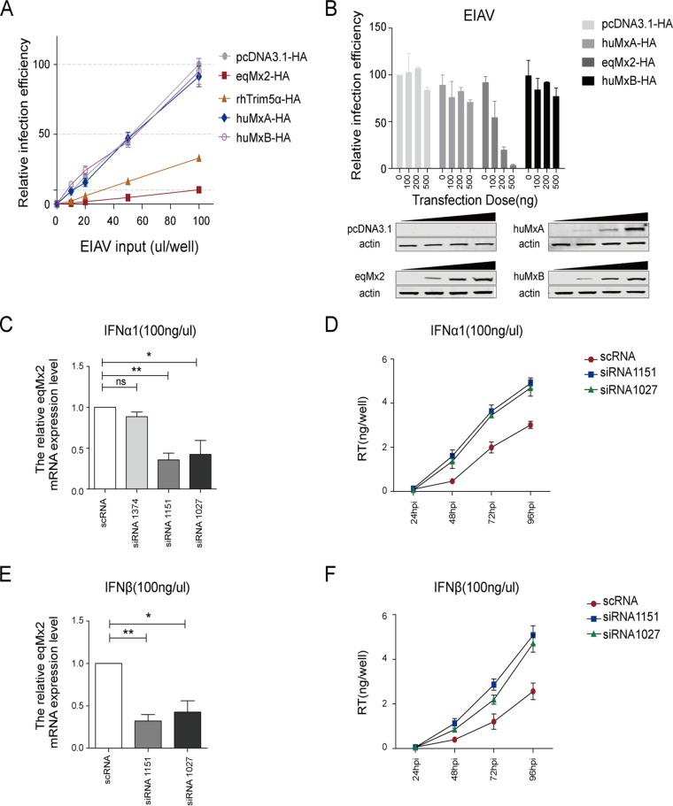 FIG 4