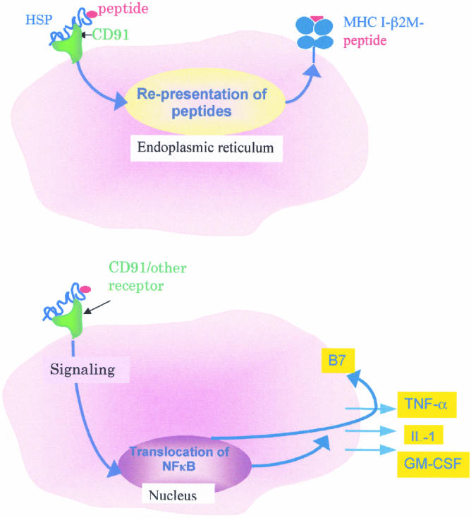 Fig 1. 