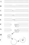 FIG 11