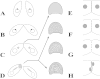 FIG 1