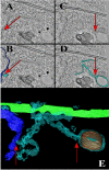 FIG 8
