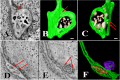 FIG 6