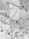 FIG 5
